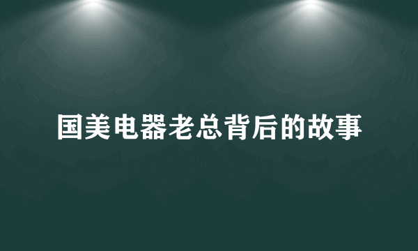 国美电器老总背后的故事