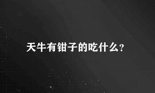 天牛有钳子的吃什么？