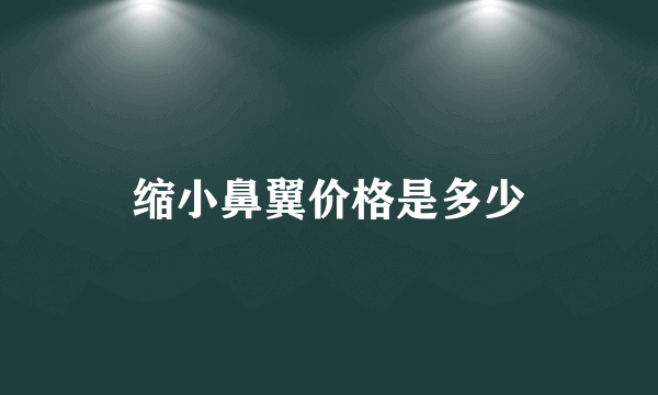 缩小鼻翼价格是多少