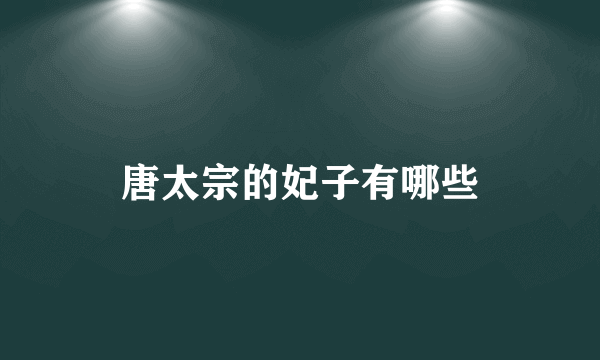 唐太宗的妃子有哪些