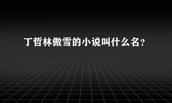 丁哲林傲雪的小说叫什么名？