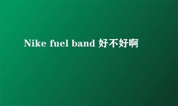 Nike fuel band 好不好啊