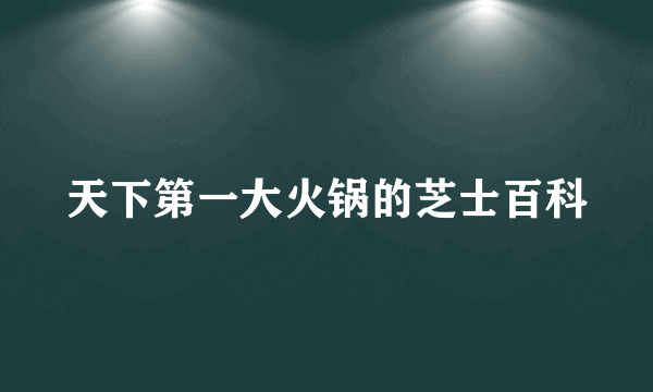 天下第一大火锅的芝士百科
