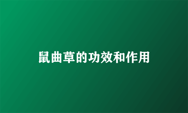 鼠曲草的功效和作用