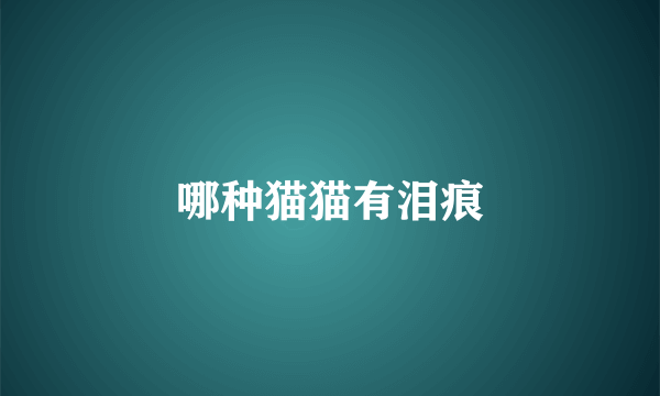 哪种猫猫有泪痕