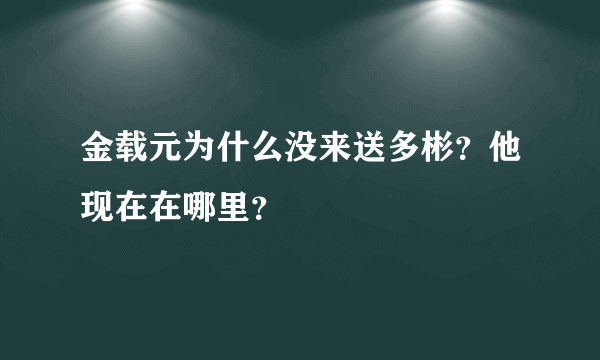 金载元为什么没来送多彬？他现在在哪里？
