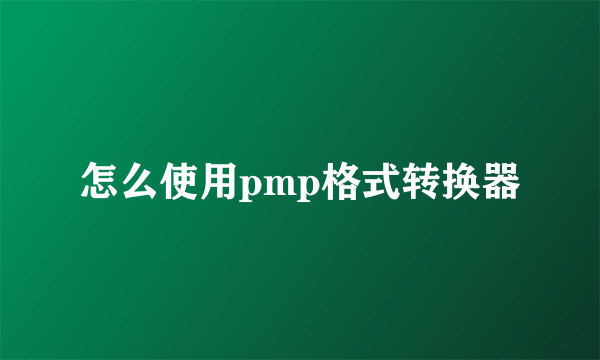 怎么使用pmp格式转换器