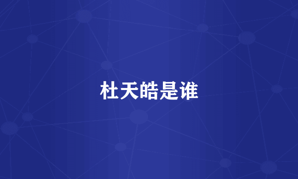 杜天皓是谁