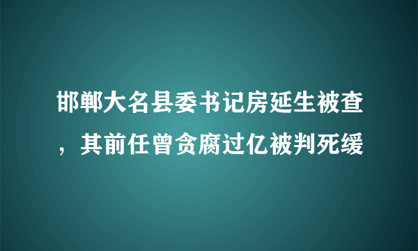 邯郸大名县委书记房延生被查，其前任曾贪腐过亿被判死缓