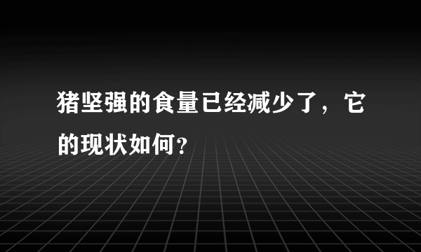 猪坚强的食量已经减少了，它的现状如何？