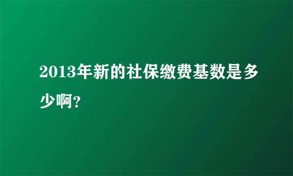 2013年新的社保缴费基数是多少啊？