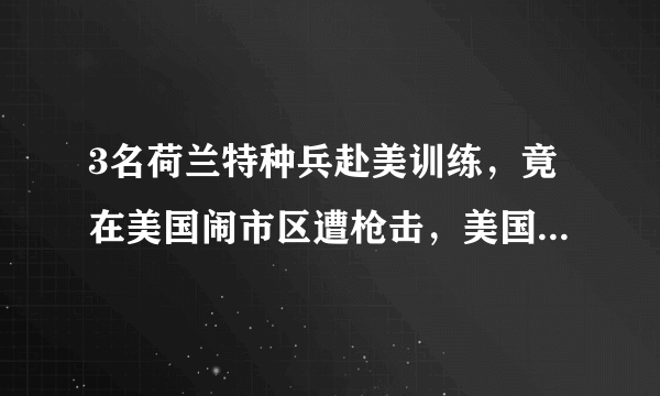 3名荷兰特种兵赴美训练，竟在美国闹市区遭枪击，美国人为何如此放肆？