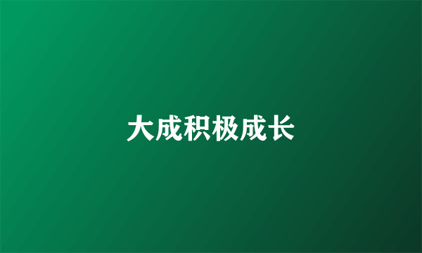 大成积极成长