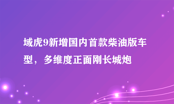 域虎9新增国内首款柴油版车型，多维度正面刚长城炮