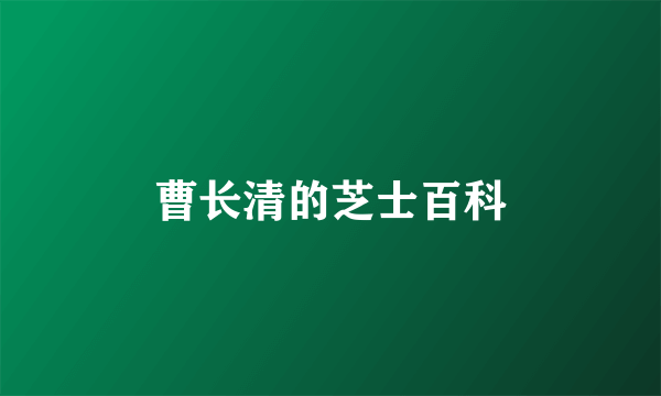 曹长清的芝士百科