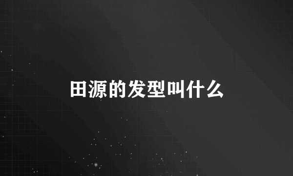 田源的发型叫什么