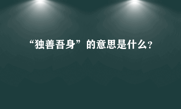 “独善吾身”的意思是什么？