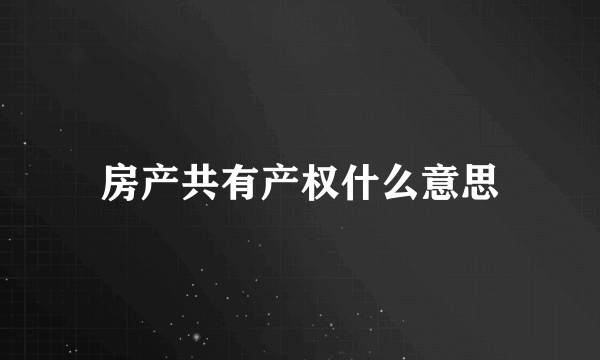 房产共有产权什么意思