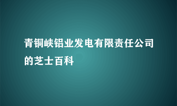 青铜峡铝业发电有限责任公司的芝士百科