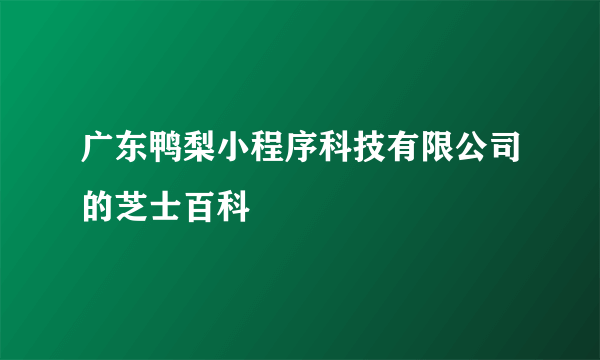 广东鸭梨小程序科技有限公司的芝士百科