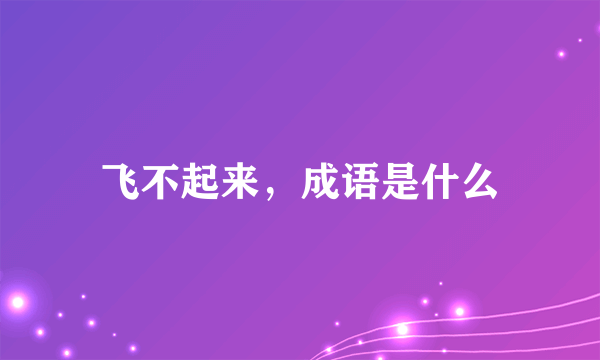飞不起来，成语是什么