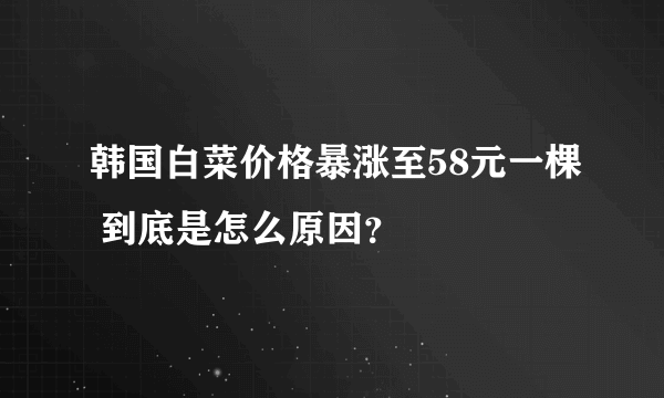 韩国白菜价格暴涨至58元一棵 到底是怎么原因？