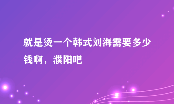 就是烫一个韩式刘海需要多少钱啊，濮阳吧