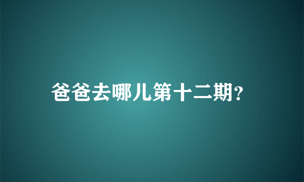 爸爸去哪儿第十二期？