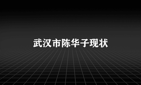 武汉市陈华子现状