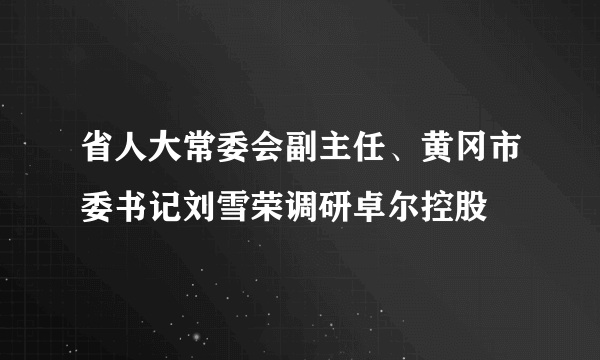 省人大常委会副主任、黄冈市委书记刘雪荣调研卓尔控股