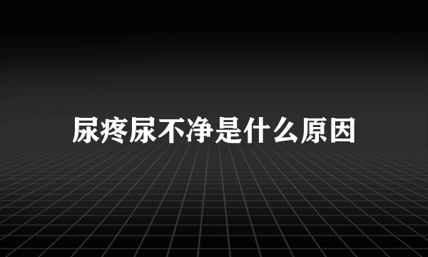 尿疼尿不净是什么原因