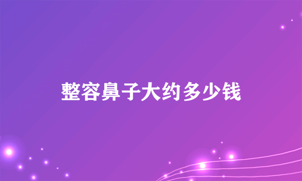 整容鼻子大约多少钱