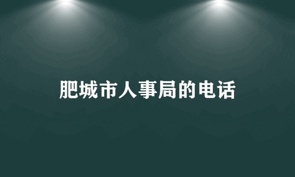 肥城市人事局的电话