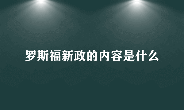 罗斯福新政的内容是什么