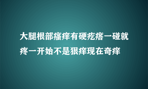大腿根部瘙痒有硬疙瘩一碰就疼一开始不是狠痒现在奇痒