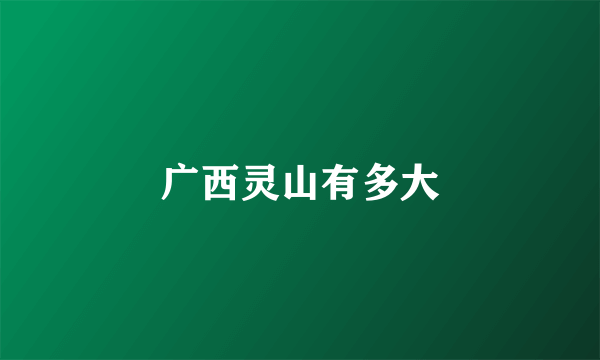 广西灵山有多大