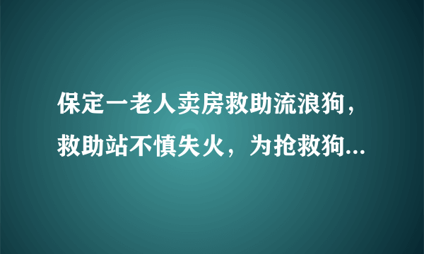 保定一老人卖房救助流浪狗，救助站不慎失火，为抢救狗狗烧伤半边脸，这个事你怎么看？