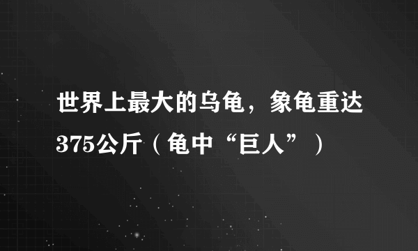 世界上最大的乌龟，象龟重达375公斤（龟中“巨人”）