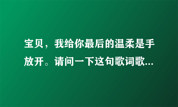 宝贝，我给你最后的温柔是手放开。请问一下这句歌词歌名叫什么？