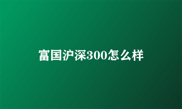 富国沪深300怎么样
