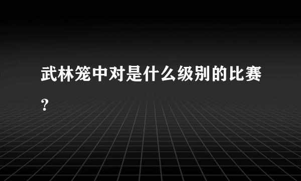 武林笼中对是什么级别的比赛？