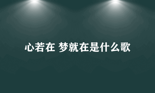 心若在 梦就在是什么歌