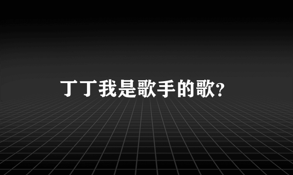 丁丁我是歌手的歌？