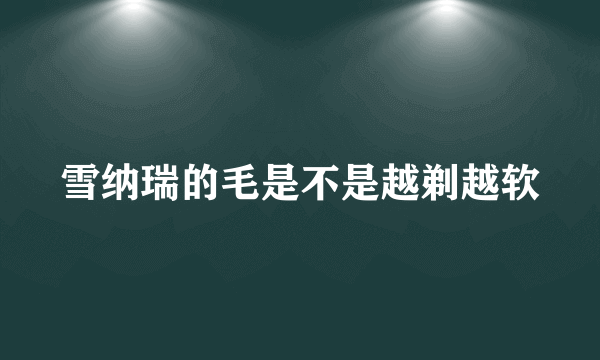 雪纳瑞的毛是不是越剃越软
