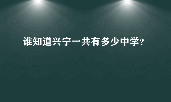 谁知道兴宁一共有多少中学？