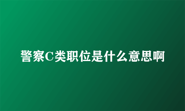 警察C类职位是什么意思啊