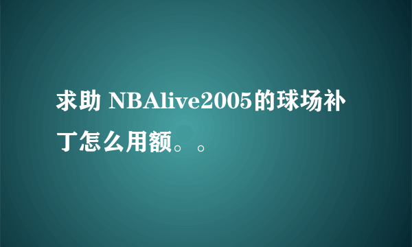 求助 NBAlive2005的球场补丁怎么用额。。
