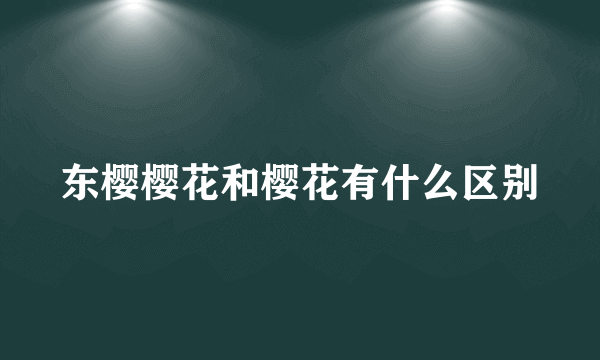 东樱樱花和樱花有什么区别