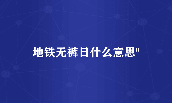 地铁无裤日什么意思