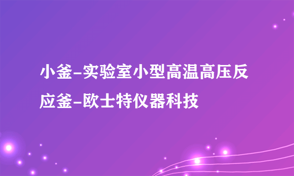 小釜-实验室小型高温高压反应釜-欧士特仪器科技